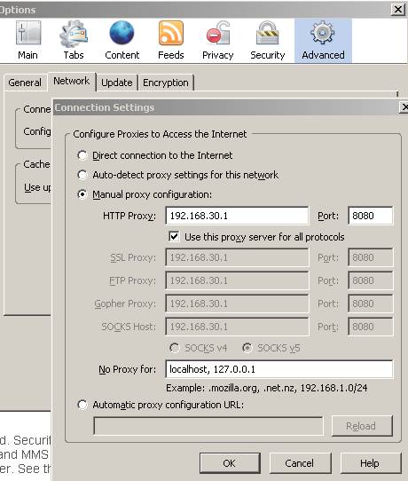 Optional, using the Proxy Server