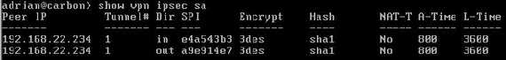 Vyatta show vpn ipsec sa