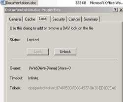 WebDrive Manual Lock