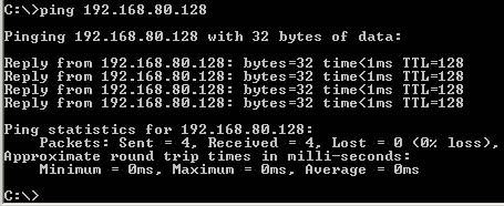 Ping 192.168.80.1 to 192.168.80.128