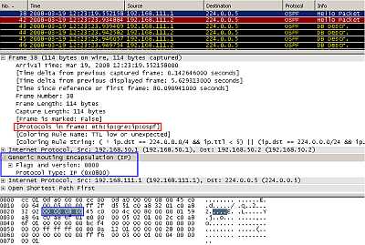 Point-to-Point GRE Tunnel: encapsulated OSPF packets