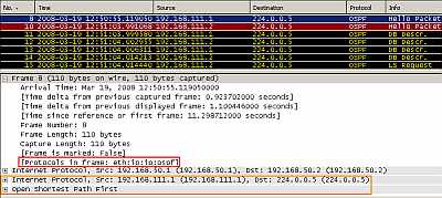 IPIP Tunnel: OSPF traffic