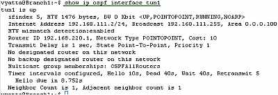 Vyatta Branch1 GRE/IPsec: show ip ospf interface tun1