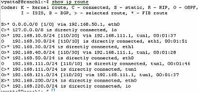 Vyatta Branch1 GRE/IPsec: Routing Table