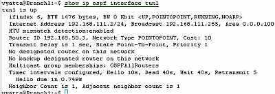 Vyatta Branch1 GRE Tunnels: show ip ospf interface tun1