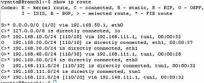 Vyatta Branch1 GRE Tunnels: Routing Table