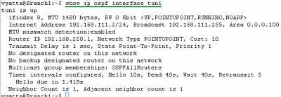 Vyatta Branch1 IPIP/IPsec: show ip ospf interface tun1