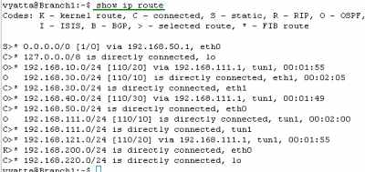 Vyatta Branch1 IPIP/IPsec: Routing Table