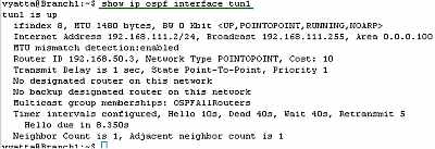 Vyatta Branch1 IPIP Tunnels: show ip ospf interface tun1