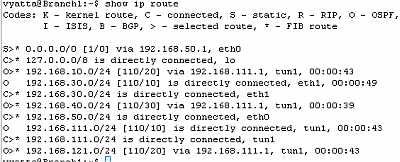 Vyatta Branch1 IPIP Tunnels: Routing Table