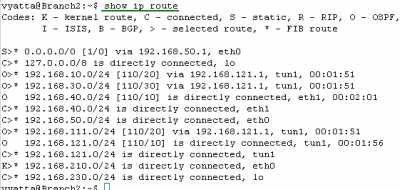 Vyatta Branch2 IPIP/IPsec: Routing Table