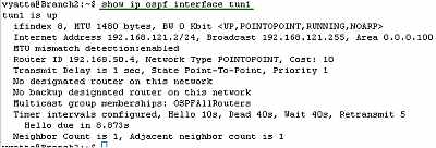 Vyatta Branch2 IPIP Tunnels: show ip ospf interface tun1