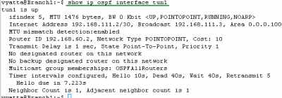 Vyatta Branch1 GRE Tunnels: show ip ospf interface tun1