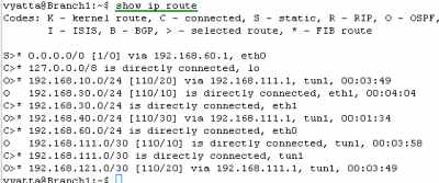 Vyatta Branch1 GRE Tunnels: Routing Table