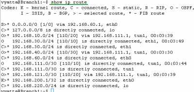 Vyatta Branch1 IPIP/IPsec: Routing Table