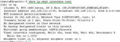 Vyatta Branch1 IPIP Tunnels: show ip ospf interface tun1