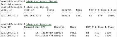 Vyatta Branch2 IPIP/IPsec: VPN Info