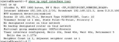 Vyatta Branch2 IPIP Tunnels: show ip ospf interface tun1