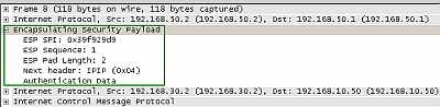 Wireshark ESP Field
