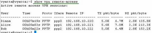 show vpn remote-access