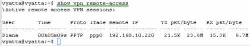 show vpn remote-access